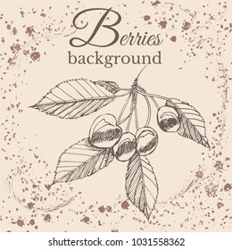 Hand drawn sketch with cherry on sepia vintage background. Vector illustration.