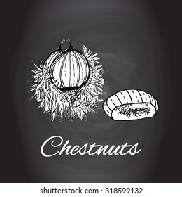 Hand drawn sketch chestnuts vector Black and white kitchen art, Kitchen decor, rustic background Healthy cooking ingredients, Autumn seasonal food, Edible seeds Forest fruits on chalk board background