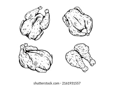 Hand drawn sketch chicken set. Black color vector illustration isolated on white background.