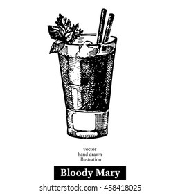 Hand drawn sketch cocktail bloody mary vintage isolated object. Vector illustration