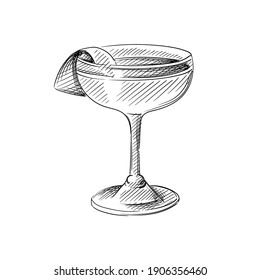 Hand drawn sketch of Cocktail drink in champagne saucer on a white background. Cocktail drinks. Drinks in cocktail glasses. Alcohol beverages