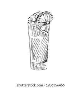 Hand drawn sketch of Cocktail drink in highball glass with lemon and ice on a white background. Cocktail drinks. Drinks in cocktail glasses. Alcohol beverages