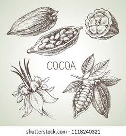 Hand drawn sketch cocoa chocolate product set. Vintage vector illustration of natural healthy food