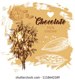 Hand drawn sketch cocoa chocolate product background. Vintage vector illustration of natural healthy sweet food