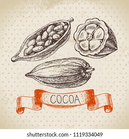 Hand drawn sketch cocoa chocolate product background. Vintage vector illustration of natural healthy sweet food