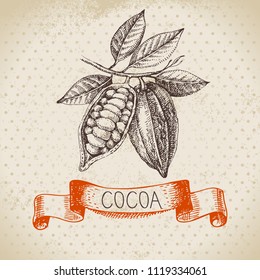 Hand drawn sketch cocoa chocolate product background. Vintage vector illustration of natural healthy sweet food