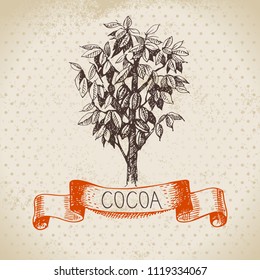 Hand drawn sketch cocoa chocolate product background. Vintage vector illustration of natural healthy sweet food