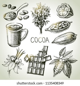 Hand drawn sketch cocoa chocolate product set. Vintage vector illustration of natural healthy food