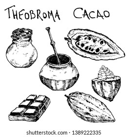 Hand drawn sketch cocoa chocolate product set. Vintage vector illustration of natural healthy food for menus and infographics