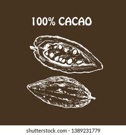 Hand drawn sketch cocoa chocolate product set. Vintage vector illustration of natural healthy food for menus and infographics