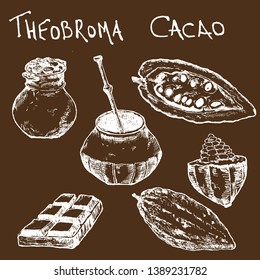 Hand drawn sketch cocoa chocolate product set. Vintage vector illustration of natural healthy food for menus and infographics