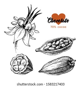 Hand drawn sketch cocoa chocolate product background. Vintage vector illustration of natural healthy food