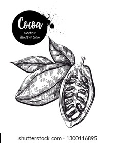 Hand drawn sketch cocoa product. Vector illustration of natural healthy food.