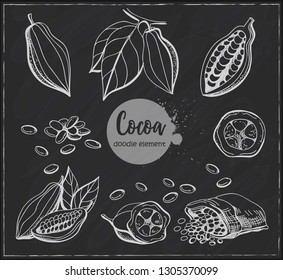 Hand drawn sketch cocoa product. Vector illustration of natural healthy food.