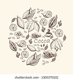 Hand drawn sketch cocoa product. Vector illustration of natural healthy food.