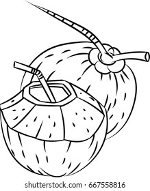 Hand drawn sketch of Coconut and Coconut Water isolated, Black and White Cartoon Vector Illustration for Coloring Book - Line Drawn Vector