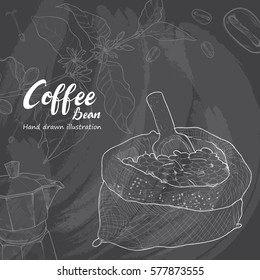 Hand drawn sketch coffee bean. Vector illustration background