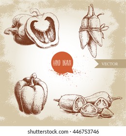 Hand drawn sketch collection of different types of pepper. Bell sweet peppers composition, sliced hot chili peppers and jalapeno peppers bunch . Vintage market fresh vegetables set. Spicy food.