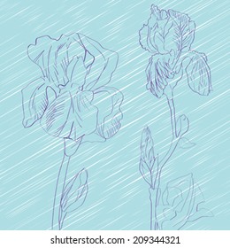 Hand drawn sketch composition with irises over a blue background, greeting card or ceramic tile