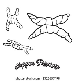  Hand drawn sketch of Coppia Ferrarese bread. Vector drawing of Sourdough food, usually known in Italy. Bread illustration series.