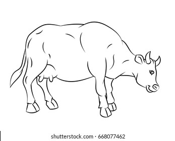 Hand drawn sketch of Cow isolated, Black and White Cartoon Vector Illustration for Coloring Book - Line Drawn Vector 