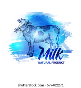 Hand drawn sketch Cow. Natural Cow Milk handdrawn background for restaurant menu design. Vector vintage illustration with blue splashes, digital watercolor