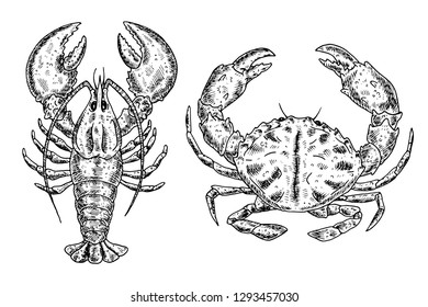 Hand drawn sketch crab and lobster.