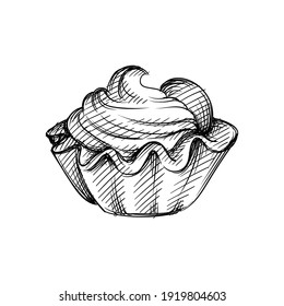 Hand drawn sketch of creamy muffin on a white background. Cupcakes, dessert, Sweets. Muffin.