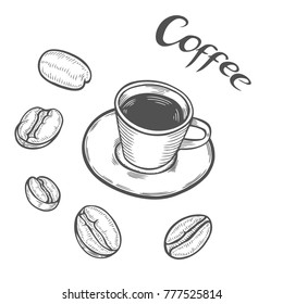 Hand drawn sketch cup of coffee with beans. Natural organic. Green coffee, luwak. White on black background. Vector illustration