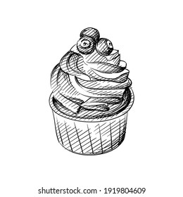 Hand drawn sketch of cupcake with blueberry on a white background. Cupcakes, dessert, Sweets. Muffin.