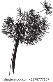 Hand drawn sketch of a dandelion. Vector illustration.