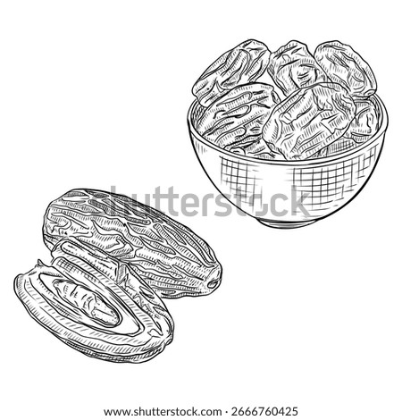Hand drawn sketch of dates fruit in bowl and sliced dates illustration