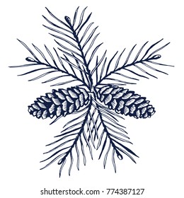 Hand drawn sketch design vector elements. Forest collection of coniferous branches and pine cones isolated on white background. fir tree set. Botanical hand drawn vector illustration. Fir tree  xmas.
