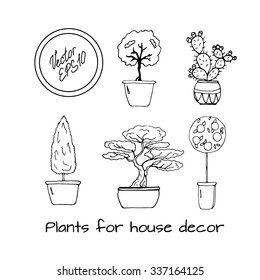 Hand drawn sketch of different plants in pot for street or home decoration: orange tree, cactus, thuja, asian bonsai tree. Vector illustration. funny kids style. 