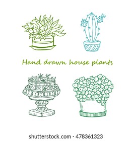 Hand drawn sketch of different plants in pots for street or home decoration: succulent plant, cactus. Vector illustration. funny kids style. colored sketch.