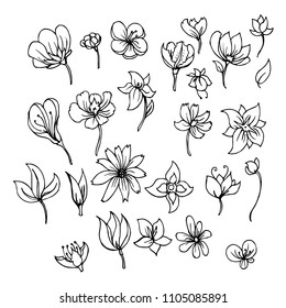 Hand drawn Sketch doodle vector line Flower icon element set