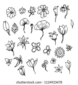 Hand drawn Sketch doodle vector line Flower icon element set