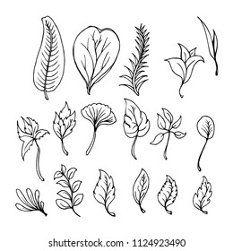Hand drawn Sketch doodle vector line Leaf icon element set