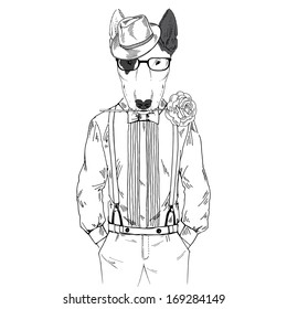 Hand Drawn  sketch of dressed up bullterrier with rose isolated on white