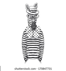 Hand drawn sketch of dressed up zebra isolated on white