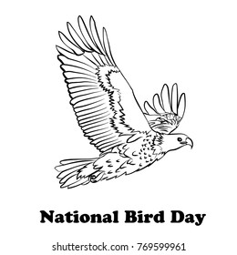 Hand drawn sketch of eagle. National Bird Day. Vector illustration