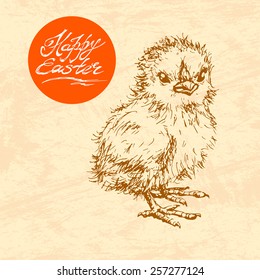 Hand drawn sketch of easter chicken. Vector vintage line art illustration on texture paper. Happy easter lettering in circle. 
