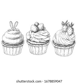 Hand drawn sketch Easter cupcakes, food vector illustration.