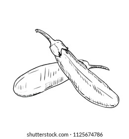 Hand drawn sketch of eggplant. Vintage engraved illustration. Botanical eggplant. Vegetarian food drawing. Vector illustration for restaurant menu design