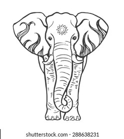 Hand drawn sketch elephant