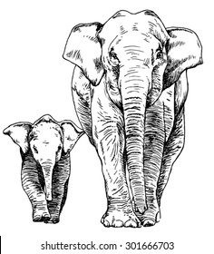 Hand drawn sketch of elephant mother and calf walking
