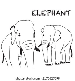 Hand drawn sketch of an elephant on a white background Vector illustration eps10