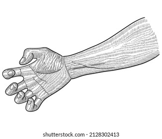 Hand drawn sketch of hand. Engraving Vector Illustration