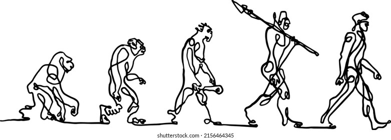 hand drawn sketch of evolution progress from monkey to homo-sapience 