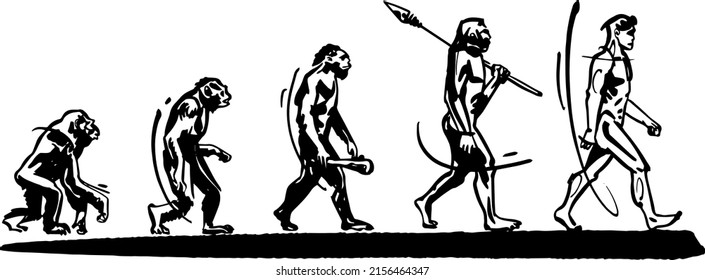 hand drawn sketch of evolution progress from monkey to homo-sapience 